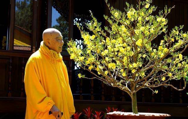 Bài Thuyết Pháp Đầu Tiên Của Đức Phật: Nguồn Gốc Phật Pháp