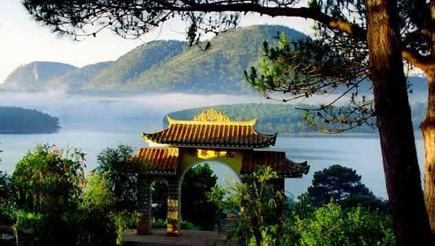 Ngỗng chúa uống sữa chừa nước